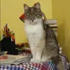 Отзыв от Венера Дьякова
